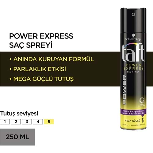 Taft Power Express Sprey 250 ml