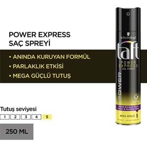 Taft Power Express Sprey 250 ml